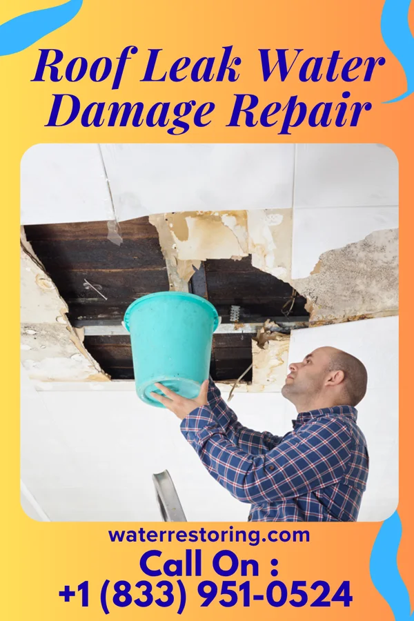 Roof Leak Water Damage Repair in Almont, ND
